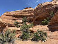Arches 2026 50