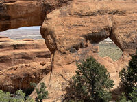 Arches 2026 54