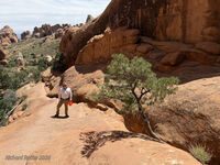 Arches 2026 62