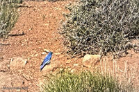 Arches Park 2026 15