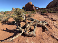 Arches Park 2026 19