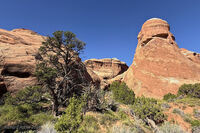 Arches Park 2026 30