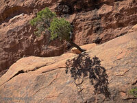Arches Park 2026 43