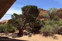 Arches Park 2026 49