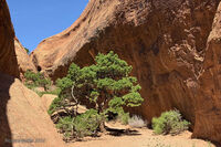 Arches Park 2026 50