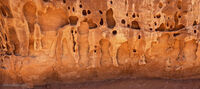 Arches Park 2026 51