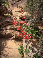 Arches Park 2026 55