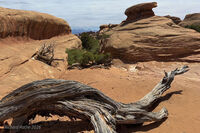 Arches Park 2026 61