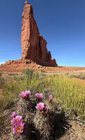 Arches Park 2026 74