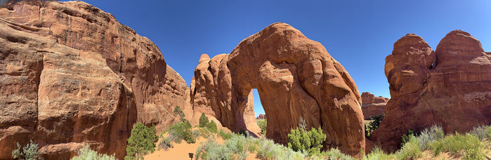 The Pine Tree Arch