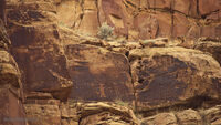 Nine Mile Canyon 042
