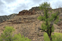 Nine Mile Canyon 051
