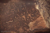 Petrified Forest 10