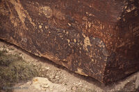 Petrified Forest 14