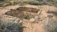 Petrified Forest 24