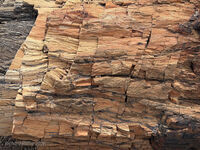 Petrified Forest 62