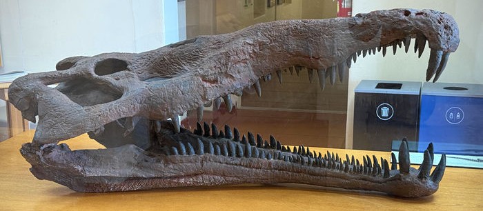 Huge Crocodilian