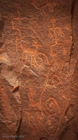 Crane Petroglyphs 09