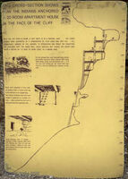 Arizona 16