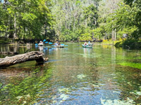 0004 Santa Fe River Blue Spring