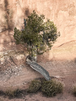 1002 Arches National Park Southwest Trip 2024 