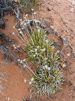1006 Arches National Park Southwest Trip 2024 
