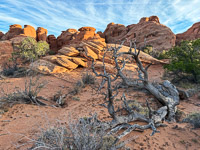 1008 Arches National Park Southwest Trip 2024 