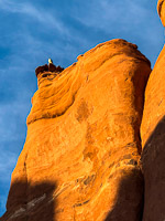 1014 Arches National Park Birds Southwest Trip 2024 