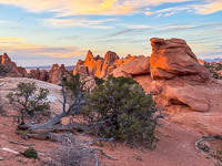 1021 Arches National Park Southwest Trip 2024 