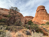 1029 Arches National Park Southwest Trip 2024 