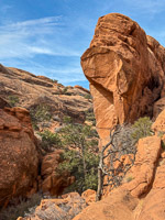 1041 Arches National Park Southwest Trip 2024 