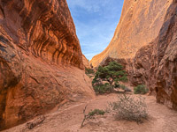 1043 Arches National Park Southwest Trip 2024 