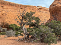 1045 Arches National Park Southwest Trip 2024 