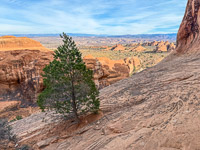 1054 Arches National Park Southwest Trip 2024 