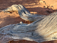 1073 Arches National Park Southwest Trip 2024 