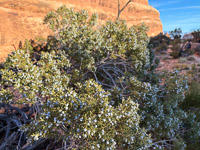 1075 Arches National Park Southwest Trip 2024 