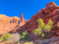 1025 Fisher Towers Southwest Trip 2024 