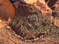 1029 Fisher Towers Southwest Trip 2024 