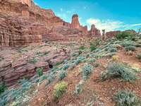 1034 Fisher Towers Southwest Trip 2024 