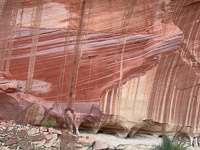 1005 Paria Canyon Southwest Trip 2024 Vermilion Cliffs 2024 Day1