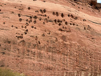 1007 Paria Canyon Southwest Trip 2024 Vermilion Cliffs 2024 Day1