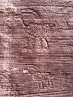 1009 Paria Canyon Rock Art Southwest Trip 2024 Vermilion Cliffs 2024 Day1