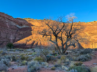 1016 Paria Canyon Southwest Trip 2024 Vermilion Cliffs 2024 First Campsite
