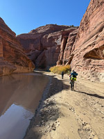 2002 Paria Canyon Southwest Trip 2024 Vermilion Cliffs 2024 Day2