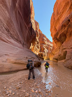 2007 Paria Canyon Southwest Trip 2024 Vermilion Cliffs 2024 Day2