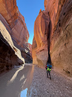 2013 Paria Canyon Southwest Trip 2024 Vermilion Cliffs 2024 Day2