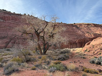 3011 Paria Canyon Southwest Trip 2024 Vermilion Cliffs 2024 Day3