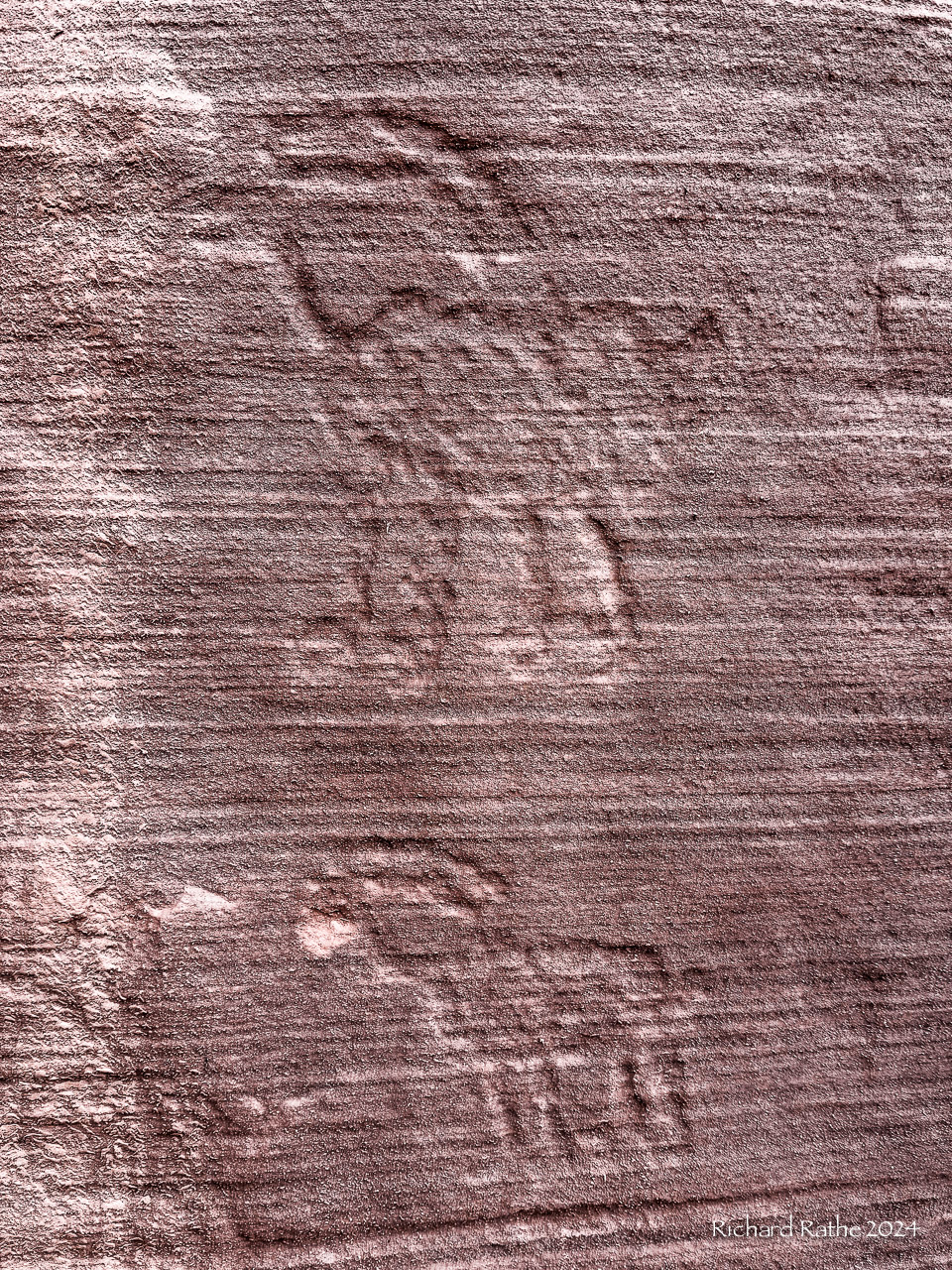 Paria Canyon Petroglyphs