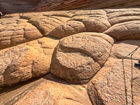 1035 Coyote Buttes North Vermilion Cliffs 2024 