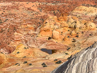 1042 Coyote Buttes North Vermilion Cliffs 2024 